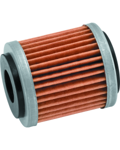 Premium BKM Oil Filters for Bikes - Model BIKE-171639