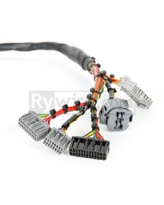 Rywire Honda B-Series Mil-Spec Eng Harness w/OBD2 Dist/Inj/Alt & OBD1 92-95 ECU Plugs (Adapter Req) - RY-B2-MILSPEC