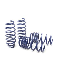 H&R 17-19 Tesla Model 3 Long Range (RWD) Sport Spring (Non Air Susp.) - 54510