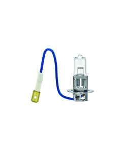 Hella H3 Halogen Bulb (Must Order Qty 10) - H3