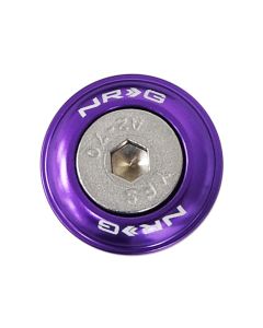 NRG Fender Washer Kit w/Rivets For Plastic (Purple) - Set of 10 - FW-100PP