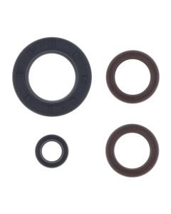 Athena 74-81 KTM 250 2T GS-MX Engine Oil Seal Kit - P400270400031