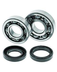 QuadBoss 88-06 Yamaha YFS200 Blaster Crankshaft Bearing & Seal Kit - 413259
