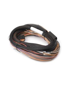 Haltech IO 12 Expander Box 8ft Flying Lead Harness (A/B Box) - HT-049902