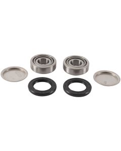 Pivot Works 06-09 Arctic Cat 250 2x4 PW Swing Arm Kit - PWSAK-H42-000