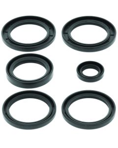 Kawasaki KFX700 Rear Differential Seal Kit