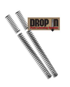 Progressive 10-2004 Drop In Fork Lowering Kit - 10-2004