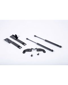 Roush 2015-2023 Ford Mustang Hood Strut (w/o Active Hood Saftey) - 422043