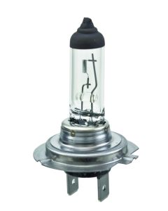 Hella Halogen H7 Bulb - H7