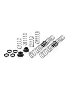 Eibach Pro-UTV 18-19 Polaris RZR XP Turbo S 2-Seat Stage 2 Performance Spring System - E85-209-015-02-22