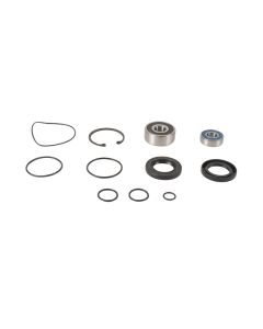 All Balls Racing Jet Pump Rebuild Kit - 14-3007