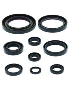 QuadBoss 06-14 Honda TRX450ER Oil Seal Set - 564171