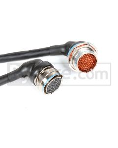 Rywire Honda F/H-Series Mil-Spec Eng Harn w/OBD1 Dist/Inj/Alt & 92-95 Plugs (Adapter/Plug Color Req) - RY-H1-MILSPEC