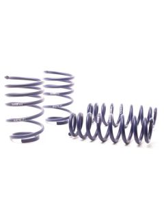 H&R 07-11 BMW 328i Sedan/335i Sedan E90 Race Spring - 50490-88