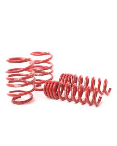 H&R 08-13 BMW M3 Coupe/M3 Sedan E92 Race Spring - 50493-88