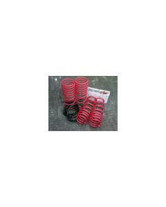 Tanabe DF210 Springs 06-07 GS300 - TDF112