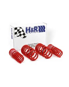 H&R Race Spring Audi A4 Quattro AWD 96-01- H&R-29996-1