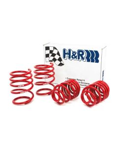 H&R 01-06 BMW 325Ci Cabrio/330Ci Cabrio E46 Race Spring (w/Sport Suspension) - 50484-88