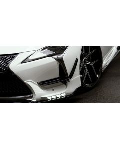 WALD International Sports Line Grill Cover for Lexus LC500 2016-2017 - LC500.GC.17
