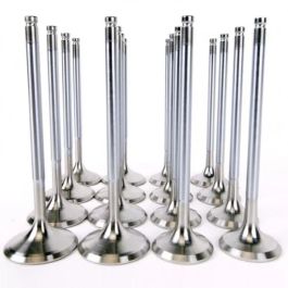 Skunk2 Alpha Series Honda/Acura Stock Size D Series Valve Set (Standard Compression) - 310-05-1600