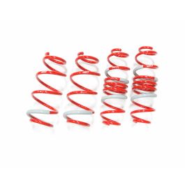 Tanabe DF210 Springs 12-13 Toyota Prius C - TDF168