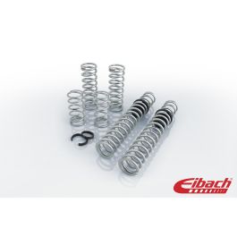 Eibach 15-16 Polaris RZR Pro-UTV - Stage 2 Performance Spring System (Set Of 8 Springs) - E85-209-005-07-22