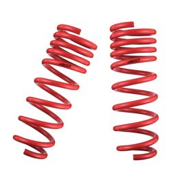 Tanabe DF210 Springs 08-09 xD - TDF121