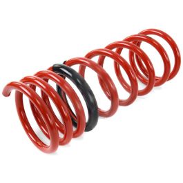 Tanabe NF210 Springs 06-09 IS250 AWD - TNF113