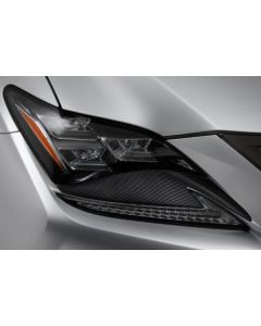 TOM'S Racing- Carbon Sheet (Headlight) for 2015+ Lexus RCF - TMS-08231-TUC10-01