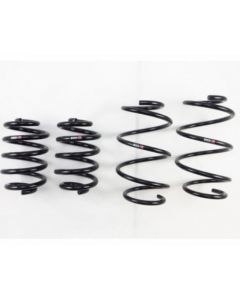 RS-R Down Suspension Lowering Springs Nissan Maxima 09-14
