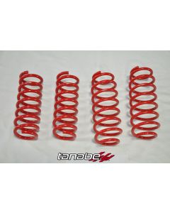 Tanabe NF210 Lowering Springs Lexus CT 200h  (ZWA10L) 11-13- TNF165